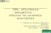 VEH, eficiência energética :  efeitos na economia brasileira