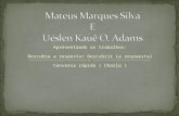 Mateus Marques Silva E Uéslen Kauê O. Adams