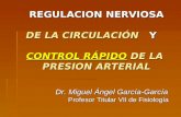 REGULACION NERVIOSA DE LA CIRCULACIÓN Y  CONTROL RÁPIDO  DE LA  PRESION ARTERIAL