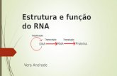 Estrutura e função do RNA