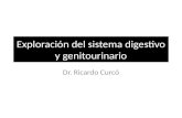 Exploración del sistema digestivo y genitourinario