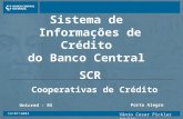 Sistema de  Informações de Crédito  do Banco Central  SCR