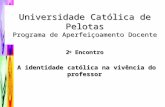 Universidade Católica de Pelotas Programa de Aperfeiçoamento Docente