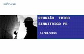 REUNIÃO  TRIGO SINDITRIGO PR  13/01/2011