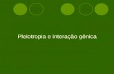 Pleiotropia e interação gênica
