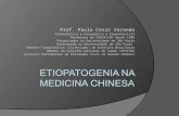 Etiopatogenia  na Medicina chinesa