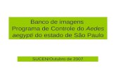 Banco de imagens  Programa de Controle do  Aedes aegypti  do estado de São Paulo