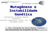 Genética Molecular Humana Profa. Dra. Ana Elizabete Silva