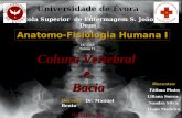 Anatomo-Fisiologia Humana I