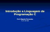 Introdução a Linguagem de Programação C