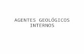 AGENTES GEOLÓGICOS INTERNOS