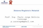 Prof. Esp. Paulo Jorge Delício Caravage pravage@gmail