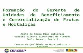 Formação do Gerente de Unidades de Beneficiamento e Comercialização de Frutas e Hortaliças