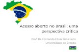 Acesso aberto no Brasil: uma perspectiva crítica