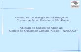 Gestão de Tecnologia da Informação e Comunicação no Estado de São Paulo: