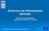 Sistema de Modelação MOHID Modelo Ecotoxicológico Aplicação à Bacia do Trancão