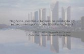 Negócios, eventos e turismo na produção do espaço metropolitano de São Paulo, Brasil