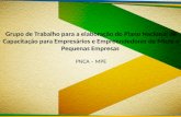 Micro e Pequenas Empresas no Cenário Nacional O PNCA – MPE sob a égide do Plano Brasil Maior