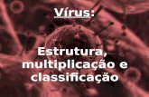 Vírus : Estrutura,  multiplicação e classificação