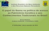Instituto Brasileiro do Meio Ambiente  e dos Recursos Naturais Renováveis