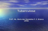 Tuberculose Profª. Ms. Maria dos Remédios F. C. Branco UFMA