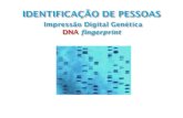 IDENTIFICAÇÃO DE PESSOAS Impressão  Digital  Genética DNA fingerprint