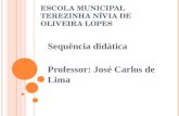 Escola Municipal Terezinha Nívia de Oliveira Lopes