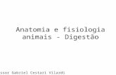 Anatomia e fisiologia animais - Digestão