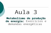 Aula 3 Metabolismo de produção de energia:  Exercícios e demandas energéticas