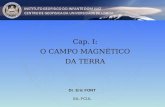 Cap. I: O CAMPO MAGNÉTICO DA TERRA