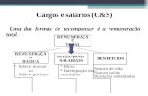 Cargos e salários (C&S)