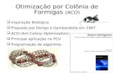 Otimização por Colônia de Formigas  ( ACO )