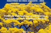 SECRETARIA DE BIODIVERSIDADE E FLORESTAS - SBF