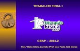TRABALHO FINAL I CEAP – 2011.2