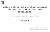 Alternativas para o abastecimento de gás natural no mercado brasileiro