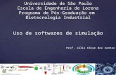 Universidade de São Paulo Escola de Engenharia de Lorena Programa de Pós-Graduação em