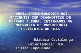 Bárbara Costalonga       Orientadora: Dra. Lisliê Capoulade