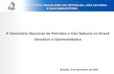 X Seminário Nacional de Petróleo e Gás Natural no Brasil Desafios e Oportunidades