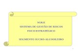 SGR.E SISTEMA DE GESTÃO DE RISCOS FOCO ESTRATÉGICO SEGMENTO SUCRO-ALCOOLEIRO
