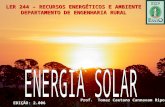 LER 244 – RECURSOS ENERGÉTICOS E AMBIENTE DEPARTAMENTO DE ENGENHARIA RURAL