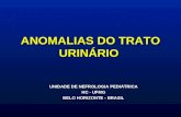 ANOMALIAS DO TRATO URINÁRIO