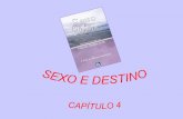 SEXO E DESTINO CAPÍTULO 4