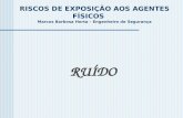 RISCOS DE EXPOSIÇÃO AOS AGENTES FÍSICOS      Marcos Barbosa Horta – Engenheiro de Segurança