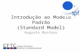 Introdução ao Modelo Padrão (Standard  Model )
