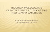 Biologia molecular e características clínicas das neuropatia amilóides