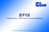 EFIS Comércio e Serviços Aeronáuticos