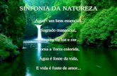 SINFONIA DA NATUREZA Água - um bem essencial, Sagrado manancial, Miragens de luz e cor...