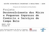 Projeto Desenvolvimento das Micro e Pequenas Empresas de Comércio e Serviços de Campo Belo