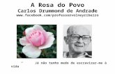 A Rosa do Povo Carlos Drummond de Andrade facebook/professorvolneyribeiro