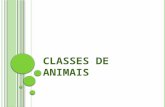 Classes de Animais